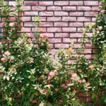 The Practical and Aesthetic Importance of Retaining Walls in Yards and Gardens