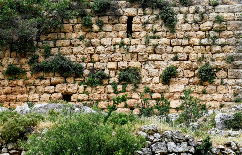 stone wall in the garden